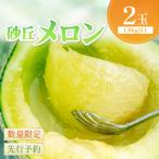 砂丘メロン 2L以上