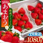 農家直送 あまおう 厳選デラックスG 1080g