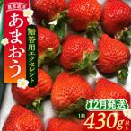 あまおう エクセレント 430g以上×1箱