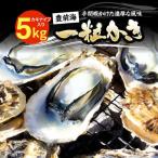 豊前海一粒牡蠣 5kg