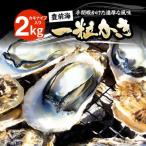 豊前海一粒牡蠣 2kg