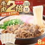 特盛牛肉うどん8食 VAI004 肉うどん