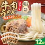 牛肉うどん12食 VAI006 肉うどん