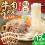 牛肉うどん12食 VAI046 肉うどん