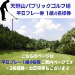 天野山パブリックゴルフ場 平日プレー券