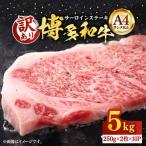 博多和牛 サーロインステーキ 5kg