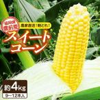 スイートコーン 約4kg