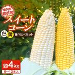 スイートコーン 白黄 食べ比べ 約4kg