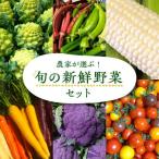 旬の新鮮野菜セット VBE002 野菜 詰め合わせ