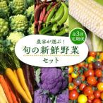 旬の新鮮野菜セット VBE008 野菜 詰め合わせ