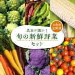 旬の新鮮野菜セット VBE009 野菜 詰め合わせ
