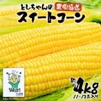 としちゃんのスイートコーン 約4kg