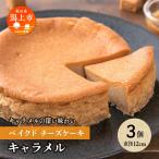 かぼちゃのベイクドチーズケーキ 3個セット