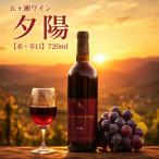 五ヶ瀬ワイン 夕陽 赤 辛口 720ml×1本