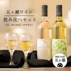 五ヶ瀬 ワイン 飲み比べ セット 白 辛口&ロゼ