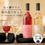 五ヶ瀬ワイン デラウェア 白 やや甘口