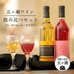 五ヶ瀬ワイン 飲み比べ2本セット 白 甘口&白