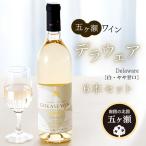 五ヶ瀬ワイン デラウェア 白 やや甘口 6本セット