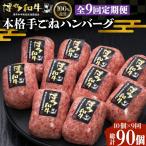 博多和牛ハンバーグ 10個