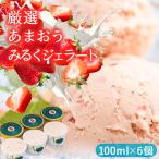 厳選あまおう ジェラート 100ml×6個