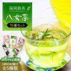福岡銘茶 八女茶 特選セット5種 計550g