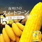 とうもろこし 4kg×1箱