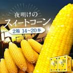 とうもろこし 4kg×2箱