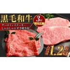 岡山 黒毛和牛 美星牛 A4等級以上 牛脂付き