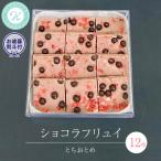 ショコラフリュイ とちおとめ 12枚