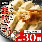 冷凍 青しそ 生餃子 30個入
