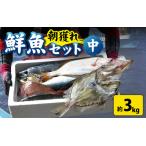 漁師厳選 鮮魚セット 中 4種類以上 約3kg