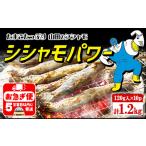 A1-1807 冷凍 子持ち からふとししゃも