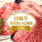 宮崎牛 普段使い定期便 N0140-YD0268