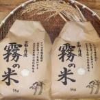 霧の米 白米 5kg×2袋