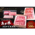 あか牛 おまかせ 焼肉 セット 500g