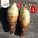 ◆◆2026年度収穫分◆◆ 農家 農天氣がおくる