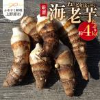 ◆◆2026年度収穫分◆◆ 農家 農天氣がおくる