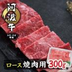 阿波牛A4 A5等級ロース焼肉300g_肉