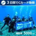 BIG BLUE スキューバダイビング PADI