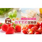 ふるさと納税 【定期便4回】ノノハナフルーツ 食べ切りおすすめ定期便 FY25-811 山形県山形市