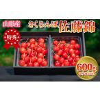 ふるさと納税 さくらんぼ 「佐藤錦」 600g 特秀品 Lサイズ以上 山形産 【令和8年産先行予約】 FS24-669 山形県山形市