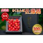 ふるさと納税 さくらんぼ 「佐藤錦」 300g 特秀品 Lサイズ以上 山形産 FS24-668 くだもの 果物 フルーツ 山形 山形県 山形市 2025年産 山形県山形市