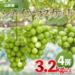シャインマスカット 3.2kg以上