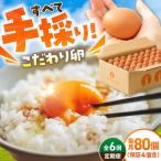 あっぱれ卵80個 卵定期便