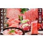 ショッピングふるさと納税 定期便 ふるさと納税 定期便3回配送　お肉とお魚よりどり定期便 LL-6016_肉 ハンバーグ 牛肉   肉 焼肉 牛肉 やきにく ヤキニク バーベキュー  肉 黒.. 鹿児島県枕崎市