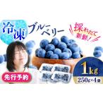 fu.... налог [2026 год 7 месяц сверху . примерно .. последовательный отправка предположительно ] рефрижератор голубика 1kg(250g×4 пакет )/ Berry ..- голубика ..-..- рефрижератор маленький.. Nagasaki префектура большой . город 
