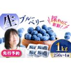 fu.... налог [2026 год 7 месяц сверху . примерно .. последовательный отправка предположительно ] сырой голубика 1kg(250g×4 пакет )/ Berry ..- голубика ..-..- сырой небольшое количество ... Nagasaki префектура большой . город 