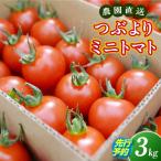 農園直送 つぶより ミニトマト 3kg入り