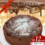 ガトーショコラ4号 ケーキ ガトーショコラ