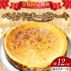 ベイクドチーズケーキ4号 チーズケーキ